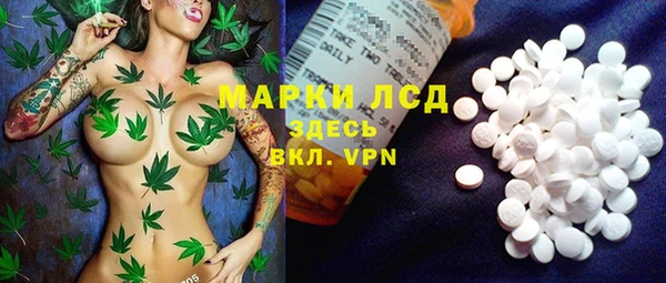 мет Алексин