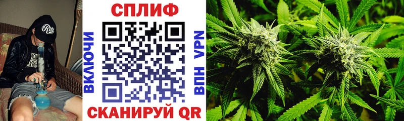 мега зеркало  где можно купить наркотик  Кондопога  Конопля White Widow 